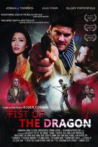 Fist of the Dragon poster - Find streaming availability