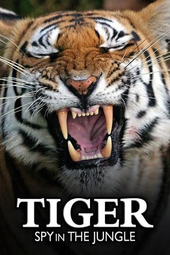 Tiger: Spy In The Jungle poster - Find streaming availability