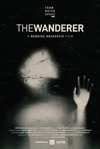 The Wanderer poster - Find streaming availability