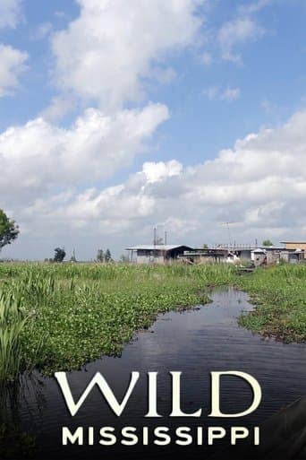 Wild Mississippi poster - Find streaming availability