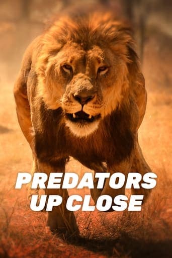 Predators Up Close with Joel Lambert poster - Find streaming availability