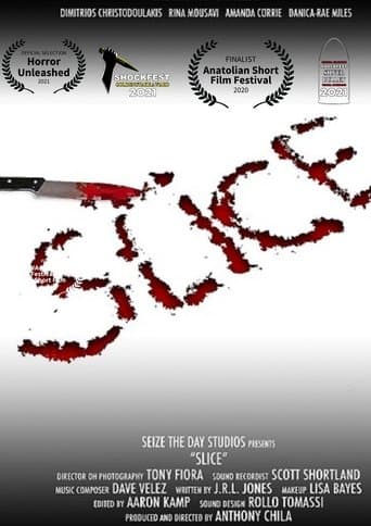 Slice poster - Find streaming availability