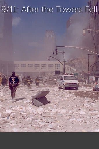 9/11: After The Towers Fell poster - Find streaming availability
