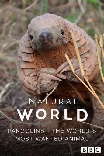 Pangolins: The World's Most Wanted Animal poster - Find streaming availability