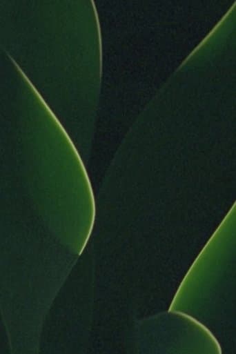 understory poster - Find streaming availability