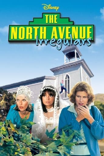The North Avenue Irregulars poster - Find streaming availability