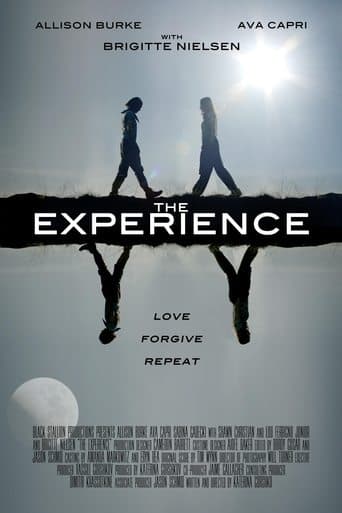 The Experience poster - Find streaming availability
