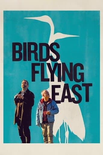 Birds Flying East poster - Find streaming availability