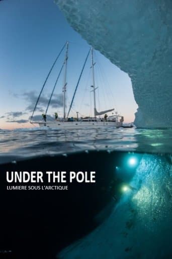 Under The Pole : Lumière Sous l'Arctique poster - Find streaming availability