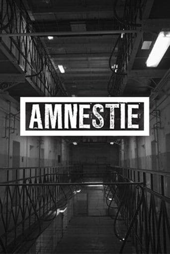 Amnesty poster - Find streaming availability