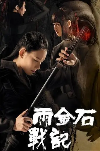 雨金石战记 poster - Find streaming availability