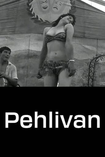 Pehlivan poster - Find streaming availability