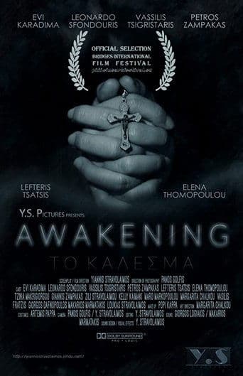 Awakening poster - Find streaming availability