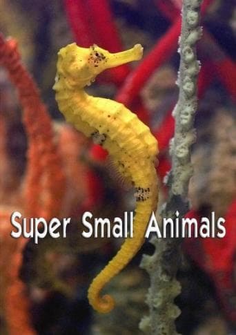Super Small Animals poster - Find streaming availability