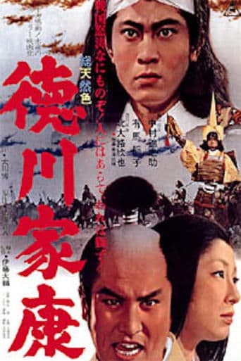 Lord Tokugawa Ieyasu poster - Find streaming availability