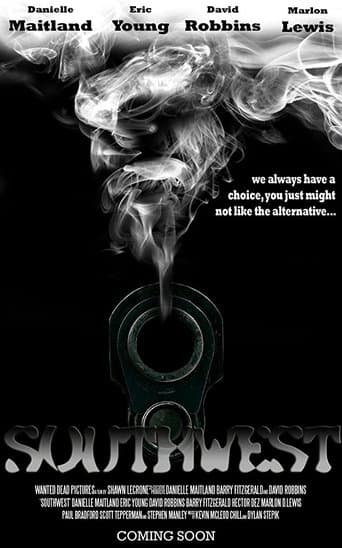 Southwest poster - Find streaming availability