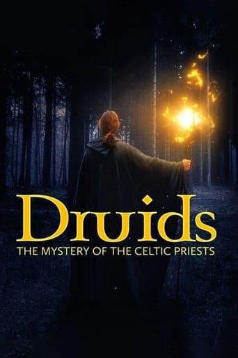 Die Druiden: Mächtige Priester der Kelten poster - Find streaming availability