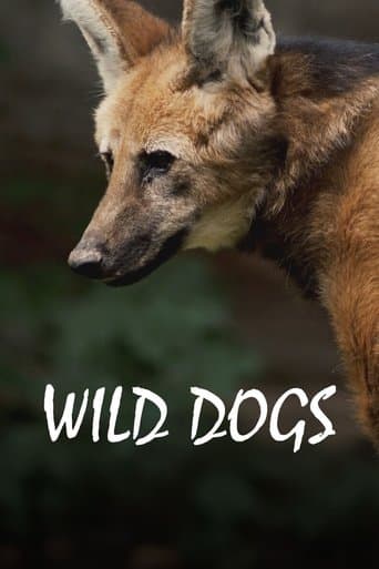 Chats et chiens sauvages poster - Find streaming availability