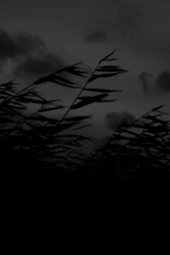 That Which Will Rise from Wind poster - Find streaming availability