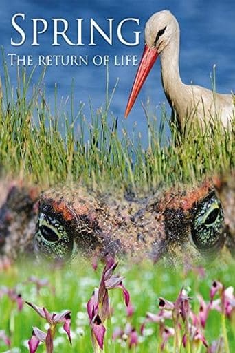 Spring: The Return of Life poster - Find streaming availability
