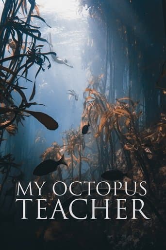 My Octopus Teacher poster - Find streaming availability