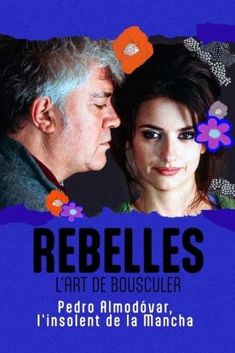 Almodóvar, l'insolent de la Mancha poster - Find streaming availability
