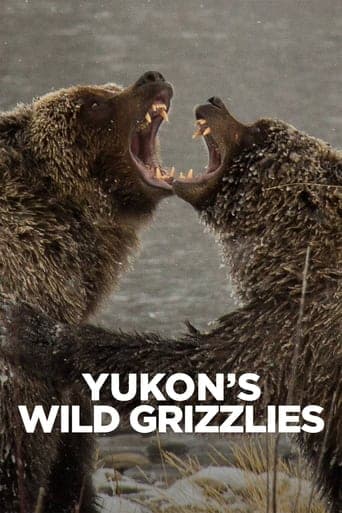 Yukon's Wild Grizzlies poster - Find streaming availability