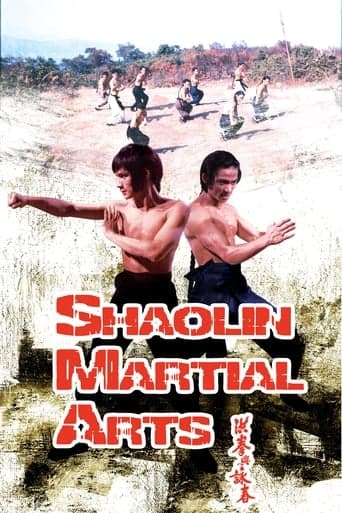 Shaolin Martial Arts poster - Find streaming availability