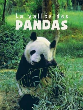 The Valley of the Pandas poster - Find streaming availability