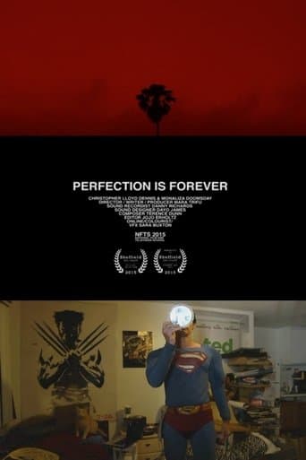 Perfection Is Forever poster - Find streaming availability