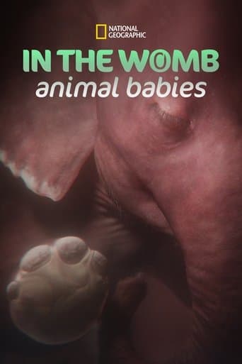 In the Womb: Animal Babies poster - Find streaming availability