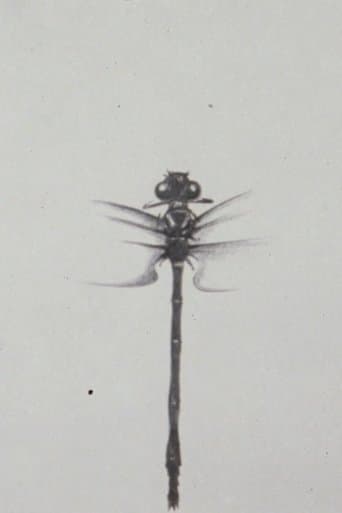 Dragonfly poster - Find streaming availability