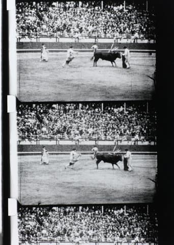 Corrida poster - Find streaming availability