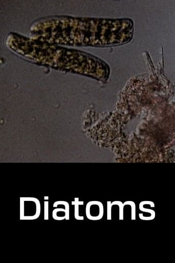 Diatoms poster - Find streaming availability