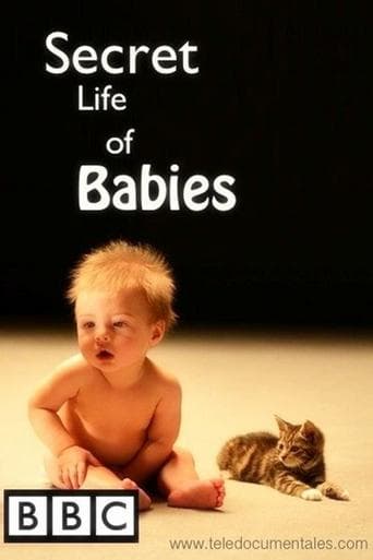 Secret Life of Babies poster - Find streaming availability