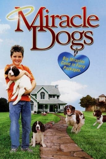 Miracle Dogs poster - Find streaming availability