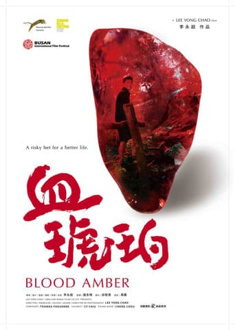 Blood Amber poster - Find streaming availability