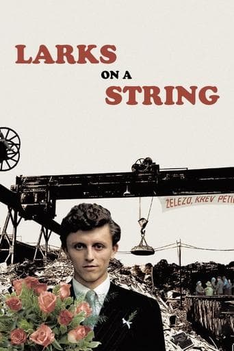 Larks on a String poster - Find streaming availability