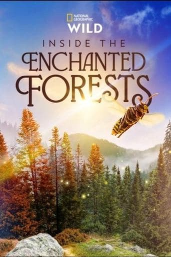 Inside the Enchanted Forests poster - Find streaming availability