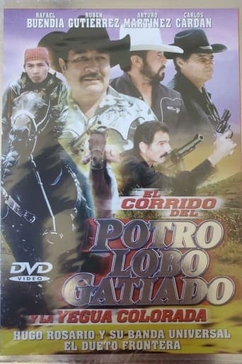 Corrido del potro lobo gatiado y la yegua colorada poster - Find streaming availability