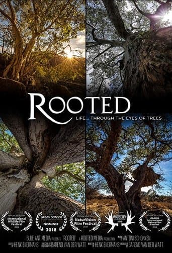Rooted poster - Find streaming availability
