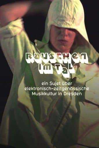 Rauschen im Tal poster - Find streaming availability