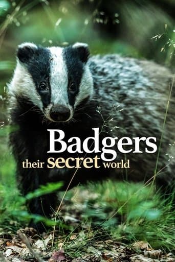 Badgers: Their Secret World poster - Find streaming availability