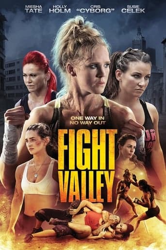 Fight Valley poster - Find streaming availability