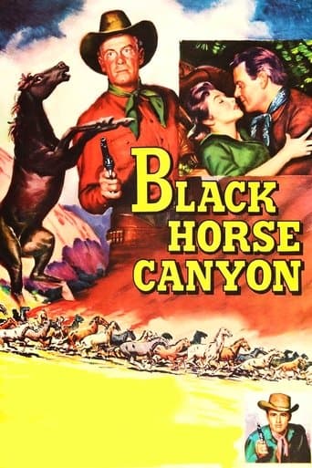 Black Horse Canyon poster - Find streaming availability