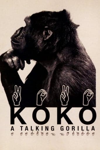 Koko: A Talking Gorilla poster - Find streaming availability