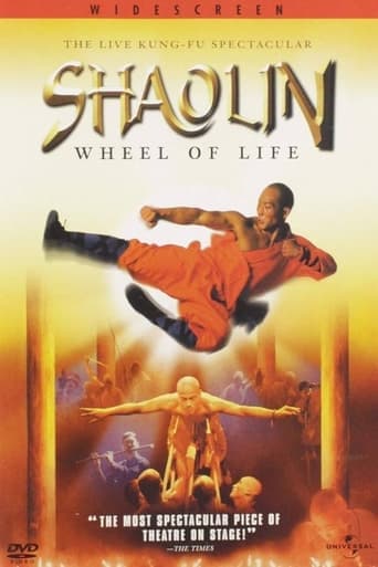 Shaolin: Wheel of Life poster - Find streaming availability