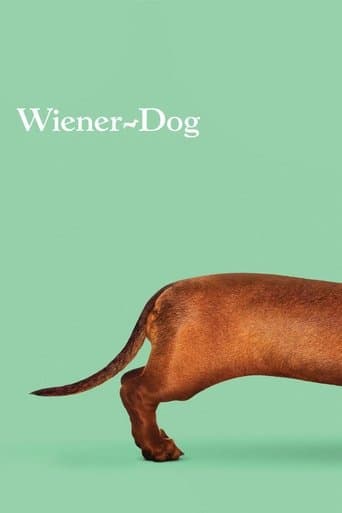 Wiener-Dog poster - Find streaming availability