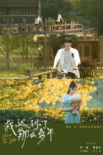 Never Too Late poster - Find streaming availability