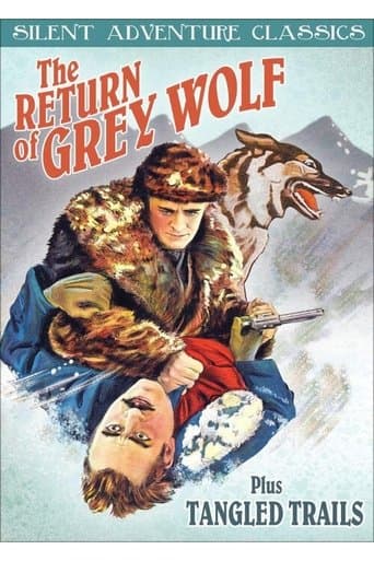 The Return of Grey Wolf poster - Find streaming availability